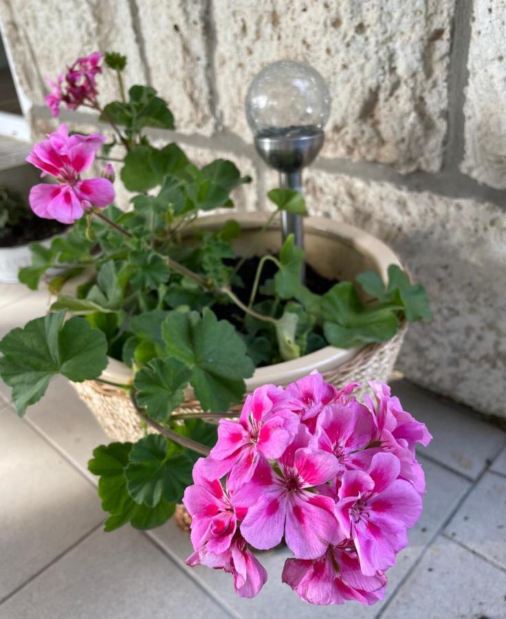 מישקולץ Boni Apartman מראה חיצוני תמונה